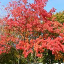 ���� Alexandr, ������ - ��������� 19 �������� 2014