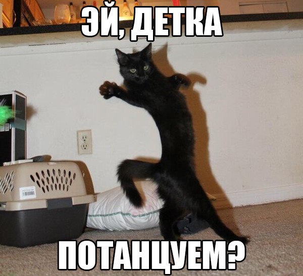������� ����� ����� :-) - 4 ������ 2014 � 05:40