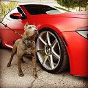 ���� ����, ������, 36 ��� - ��������� 23 ������ 2014 � ������ ������ ��������