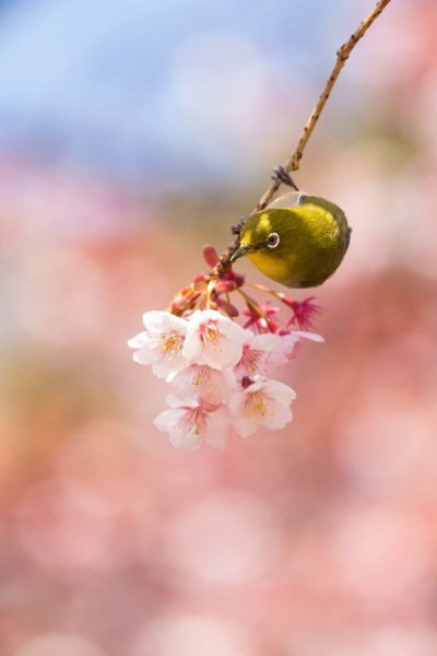 Жизнь — не там, где много машин и денег… Там жизнь, где люди, которые искренне тебя любят и очень ... - 3