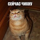 ���� ����, �����-��������� - ��������� 12 ������� 2014 � ������ ������ ��������
