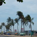  , , 47  -  11  2014    2014