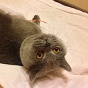 ���� �����, ���������, 62 ���� - ��������� 14 ������ 2014 � ������ ���������