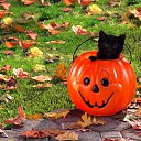  Viktoria Aleksandrina,  -  25  2014    