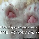 ���� ����, ���� - ��������� 2 �������� 2014 � ������ ������ ��������