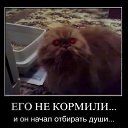 ���� ����, ����� - ��������� 29 ������� 2014 � ������ ����