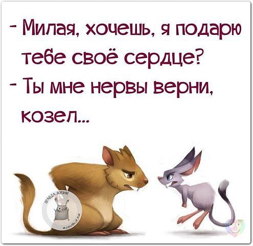  - 10  2014  23:58