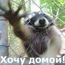 ���� �������, �����, 54 ���� - ��������� 19 �������� 2014 � ������ ���� ����������