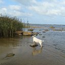  Roxanne, - -  15  2014   _09_2014