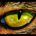 ���� �����, ������ - ��������� 17 ������� 2014 � ������ �animals�