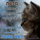 ���� �������, ������ - ��������� 28 ������� 2014 � ������ ������ ��������