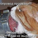  , - -  16  2014   ۻ