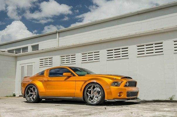 Shelby GT500 Super Snake �� Ultimate Auto - 3
