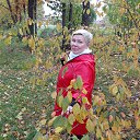 ���� ��������� ��������, �����, 61 ��� - ��������� 22 �������� 2014 � ������ ���� ����������