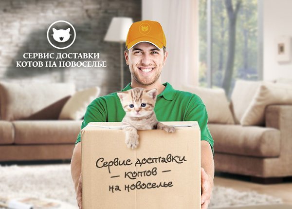 Сбербанк запускает сервис доставки котов. Кому счастье в новую квартиру? Оформляйте ипотечный кредит ...