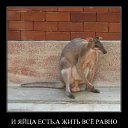 ���� ������, ������, 51 ��� - ��������� 2 ������� 2014 � ������ ������ ��������