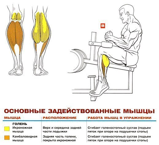 Как накачать икры в зале