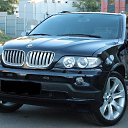 ���� �����, �������, 48 ��� - ��������� 18 ������� 2014 � ������ ������ ��������