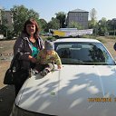 ���� ������, ����������, 65 ��� - ��������� 28 �������� 2014 � ������ ���� ����������
