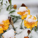 ���� ������, �������, 41 ��� - ��������� 18 ������� 2014 � ������ �������