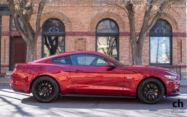 Mustang GT Fastback Coupe.5.0L V8: 420 .. : 529 :   ... - 4