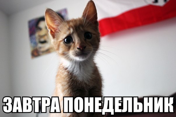 Art & Fun - 10  2014  06:59