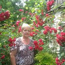 ���� �����, �����, 63 ���� - ��������� 27 ������� 2014 � ������ ���� ����������