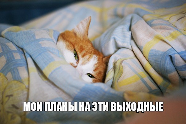  -  - 29  2014  07:57