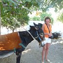 ���� ������� 2014