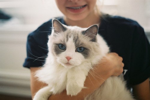    *______*