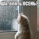 ���� ��������, ���������, 44 ���� - ��������� 5 ������� 2014 � ������ ������ ��������