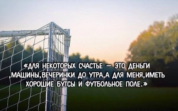 SportFeed - 12  2014  22:14