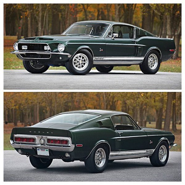 Mustang - 6