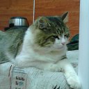 ���� ��������, ������, 59 ��� - ��������� 3 ������� 2014 � ������ ������ ��������