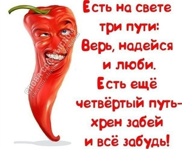 Картинки забей на все