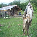  Giorgi, , 36  -  2  2014   gruzia svaneti region