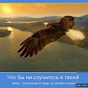 ���� ������, ��������, 67 ��� - ��������� 2 ������� 2014 � ������ ������ ��������