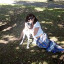 ���� Alia, �������, 48 ��� - ��������� 19 �������� 2014 � ������ ���� ����������