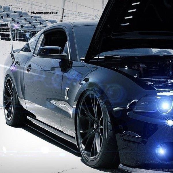 2014 Shelby GT500. - 4