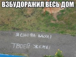�����������