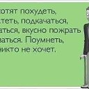 ���� ����, �����������, 42 ���� - ��������� 2 �������� 2014 � ������ ������ ��������