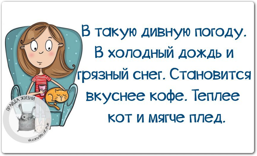 В такую погоду свои дома сидят только чужие шастают. В такую погоду только. Коротко о погоде картинки. Стоит ли в такую погоду. Простоквашино в такую погоду свои дома сидят.