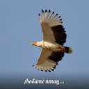 ���� ���������, �����, 72 ���� - ��������� 31 ������� 2014 � ������ ������ ��������
