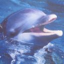 ���� Aliaksandr, ������������, 64 ���� - ��������� 25 ������� 2014 � ������ ���� ����������