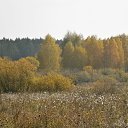 ���� ��������, ���������, 39 ��� - ��������� 9 ������ 2014 � ������ ������ ��������