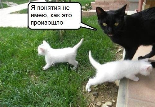       - 10  2014  15:00