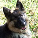  - 13.09.2014     - 2014