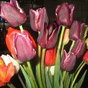 ���� �����, ���������, 53 ���� - ��������� 27 �������� 2014 � ������ ���� ����������