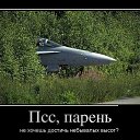 ���� ����, �����-���������, 40 ��� - ��������� 24 ������� 2014 � ������ ������ ��������