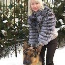 ���� ����, ���� - ��������� 14 �������� 2014